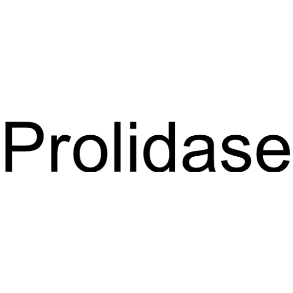 Prolidase Structure