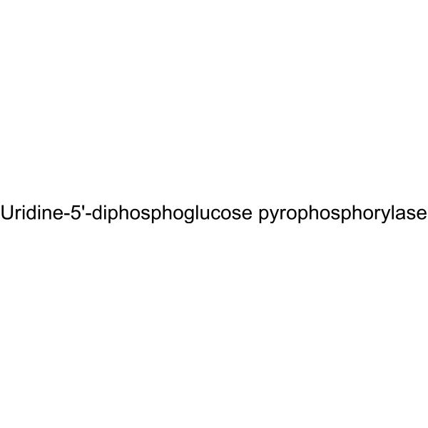 Uridine-5'-diphosphoglucose pyrophosphorylase Structure