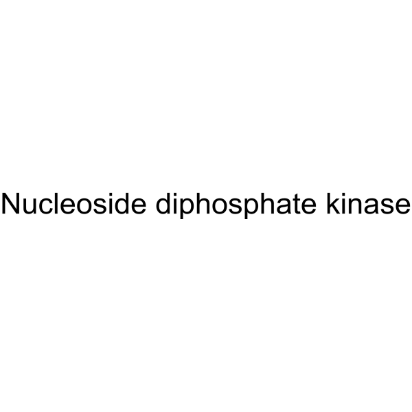 Nucleoside diphosphate kinase Structure