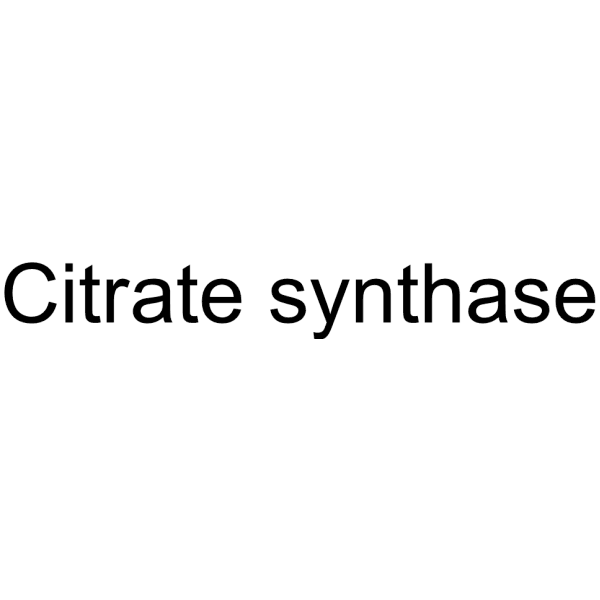 Citrate synthase Structure