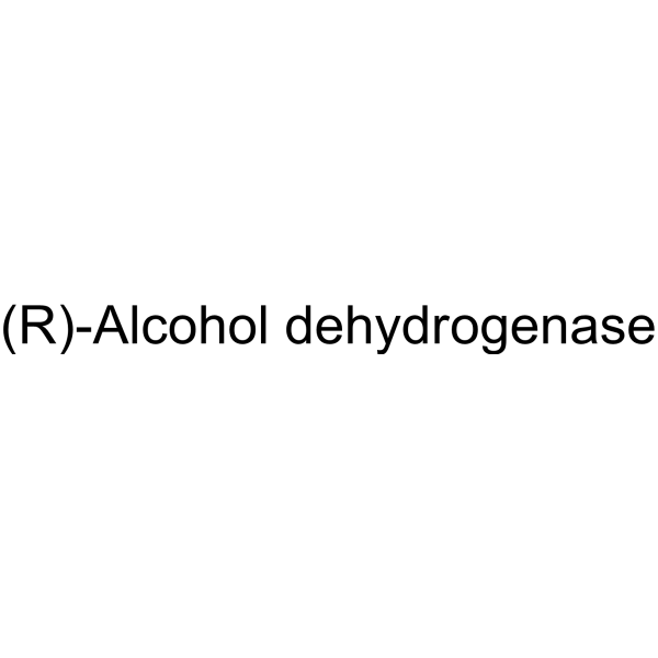 (R)-Alcohol dehydrogenase Structure