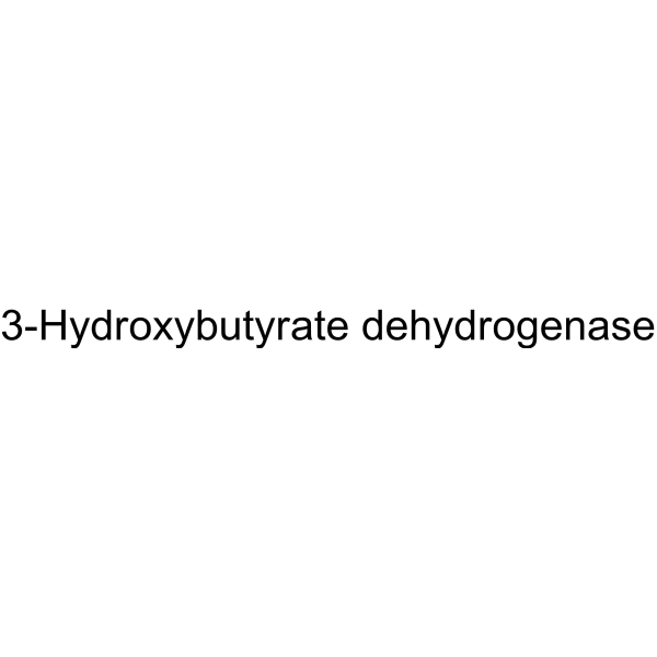 3-Hydroxybutyrate dehydrogenase Structure