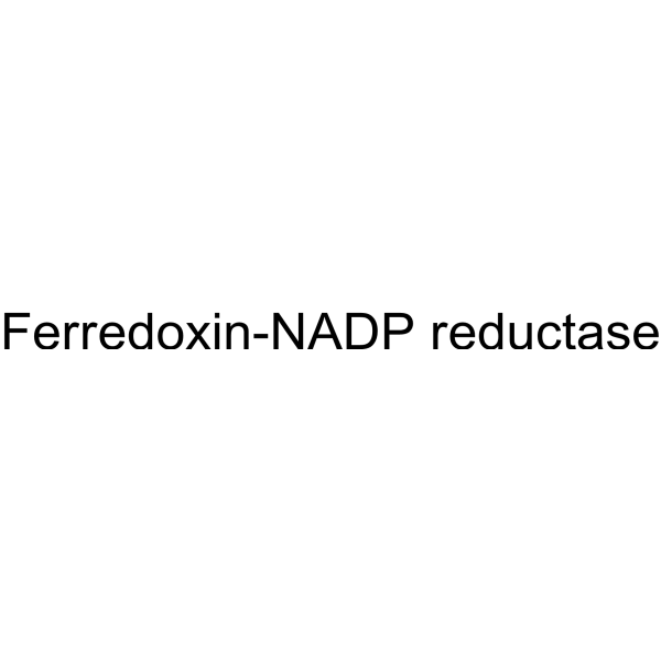 Ferredoxin-NADP reductase Structure