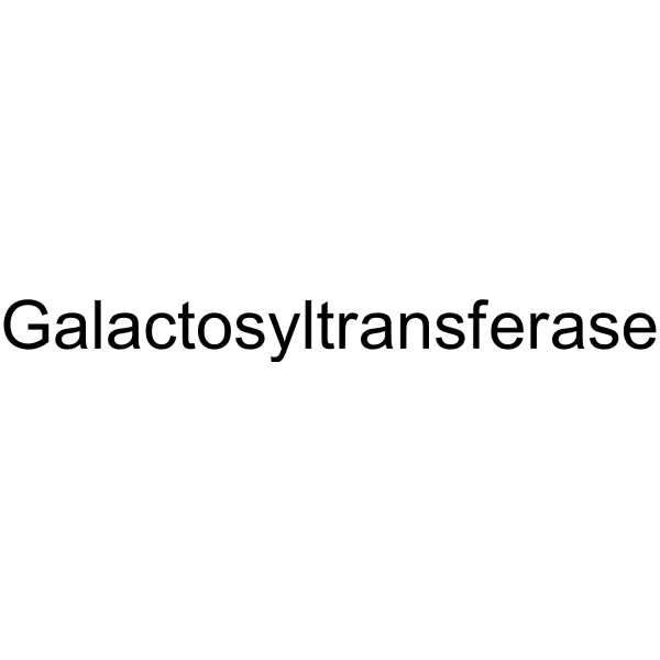 Galactosyltransferase Structure