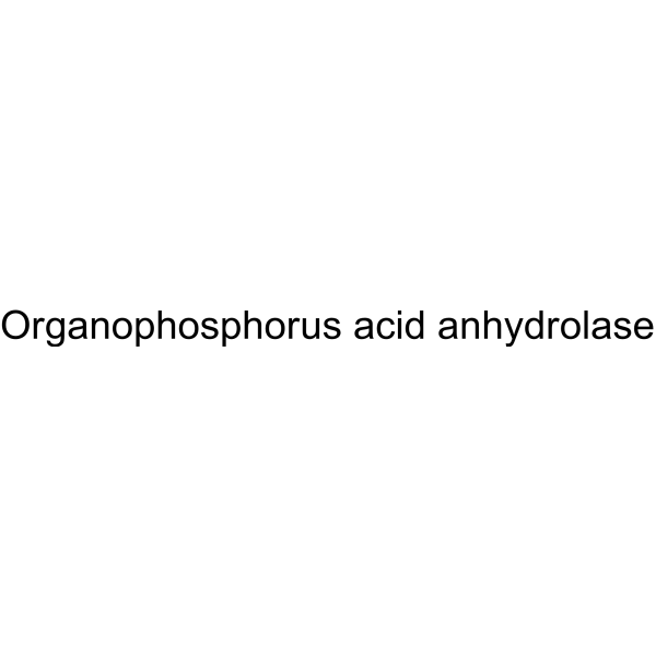 Organophosphorus acid anhydrolase Structure