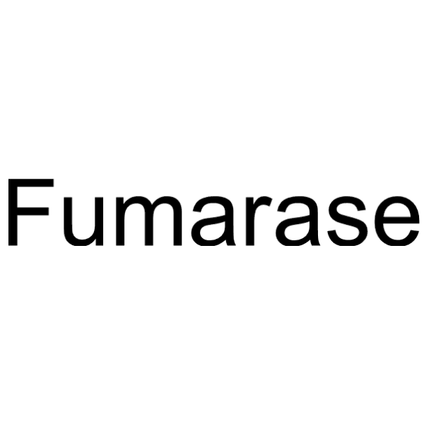 Fumarase Structure