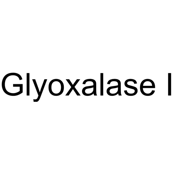 Glyoxalase I Structure