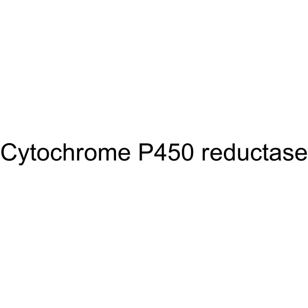 Cytochrome P450 reductase Structure