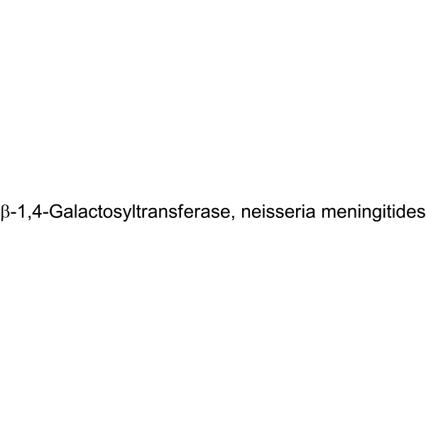 β-1,4-Galactosyltransferase, neisseria meningitides Structure