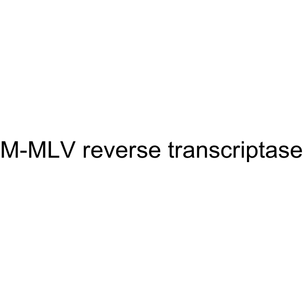 M-MLV Reverse transcriptase Structure