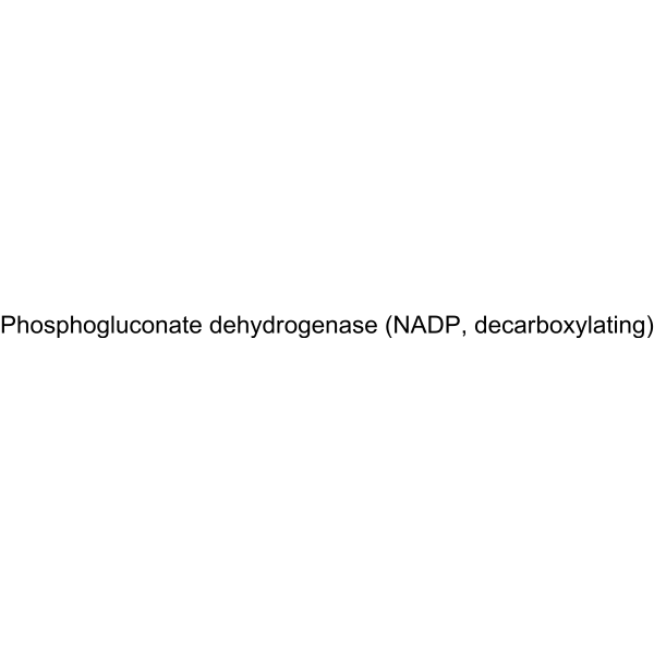 Phosphogluconate dehydrogenase (NADP, decarboxylating) Structure