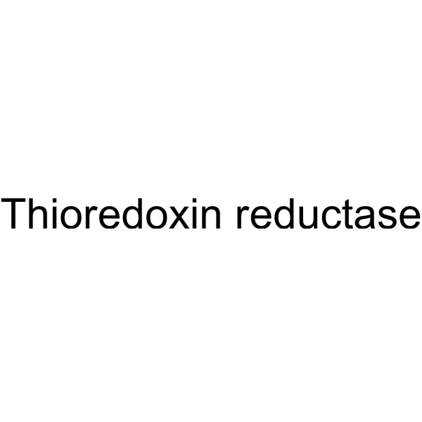 Thioredoxin reductase Structure