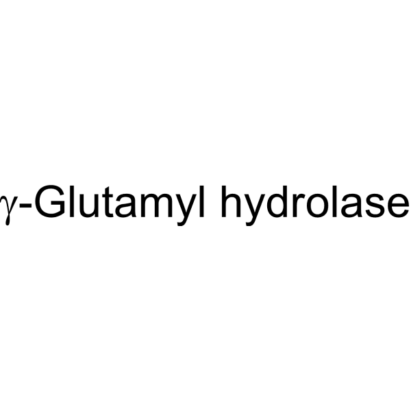 γ-Glutamyl hydrolase Structure