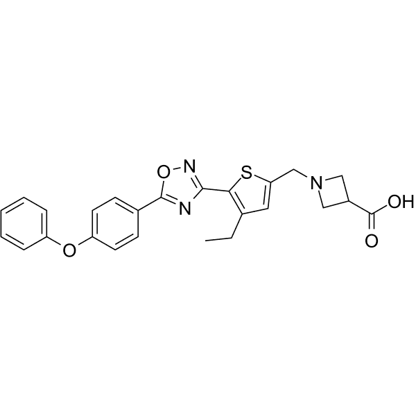 CS-2100  Structure