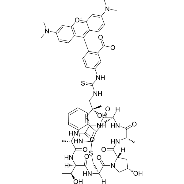 Phalloidin-TRITC Structure