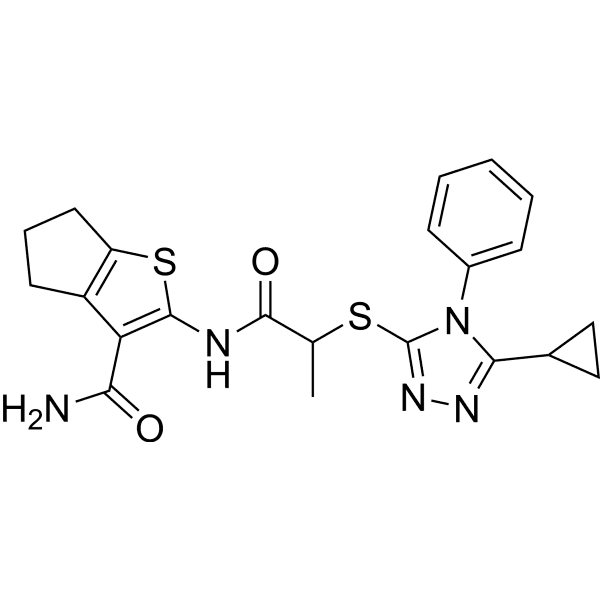 MASM7  Structure