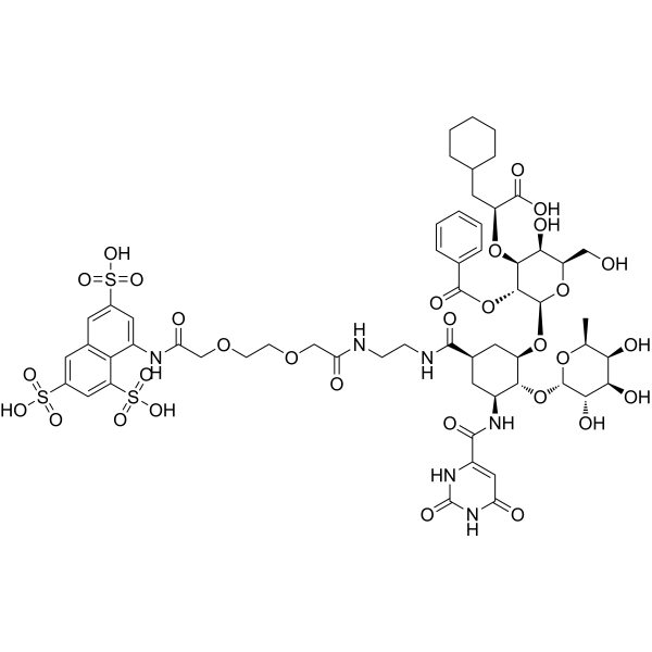 Rivipansel Structure