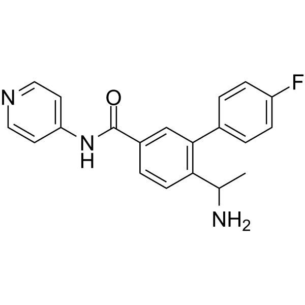 ROCK-IN-1 Structure