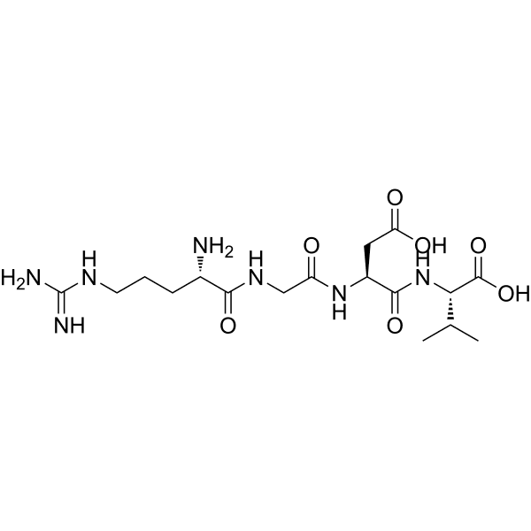 RGDV Structure