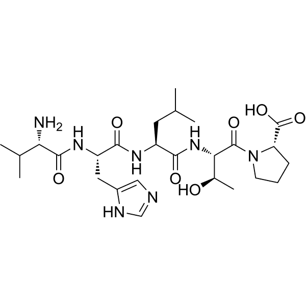 VHLTP Structure