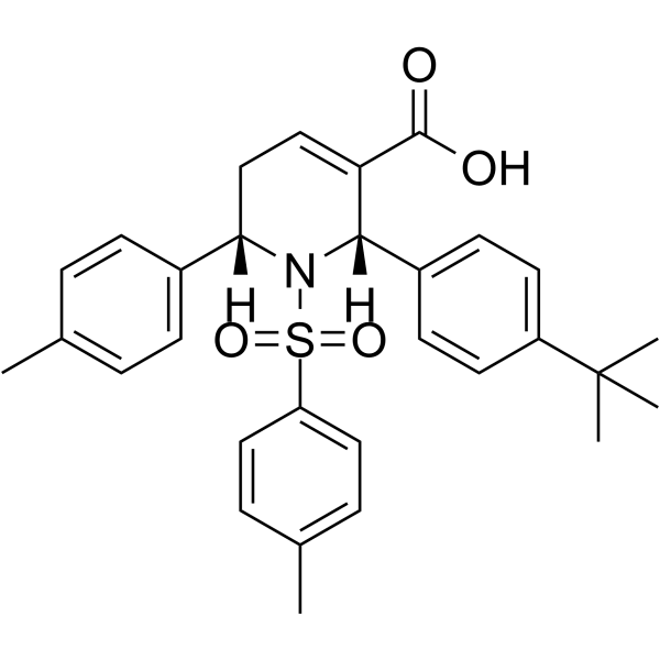 P11  Structure