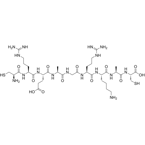 REA Structure