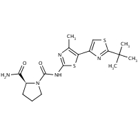 A66 Structure