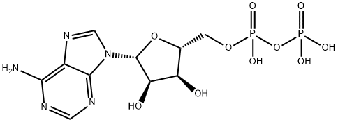 ADP Structure