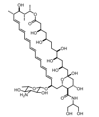 SF001 Structure