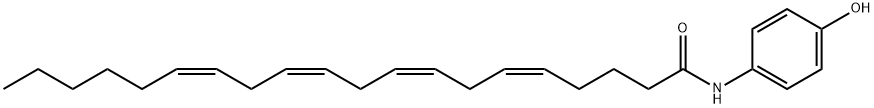 AM404  Structure