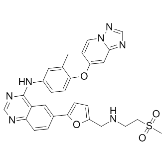 ARRY-380 analog Structure