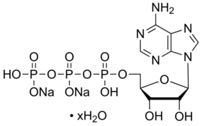 ATP disodium salt hydrate Structure