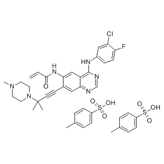 AV-412 Structure