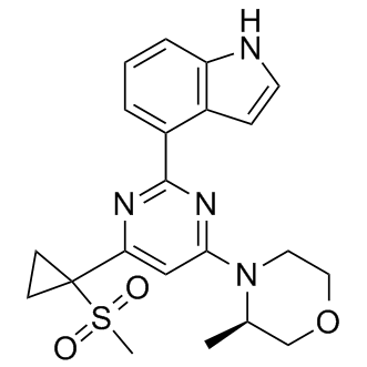 AZ20 Structure