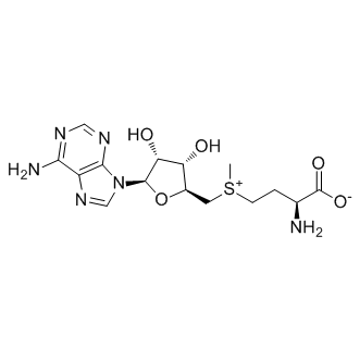 Ademetionine Structure