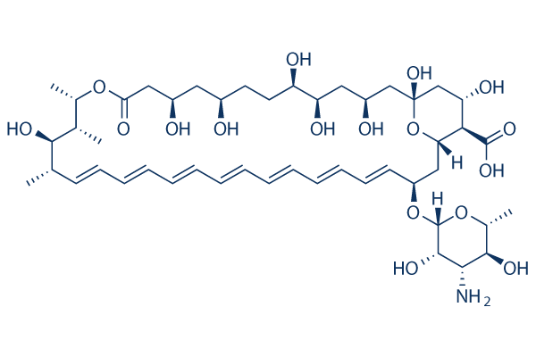 Amphotericin B  Structure