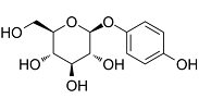 Arbutin Structure