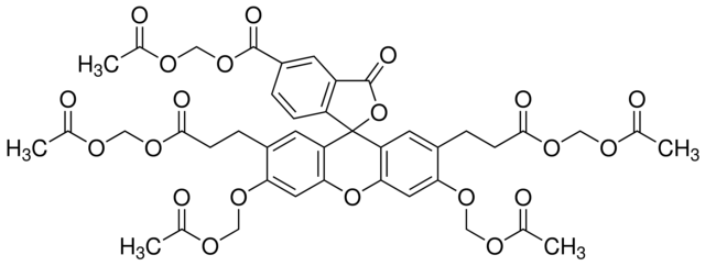 BCECF-AM Structure