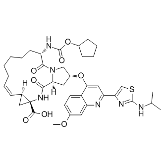 BILN 2061 Structure