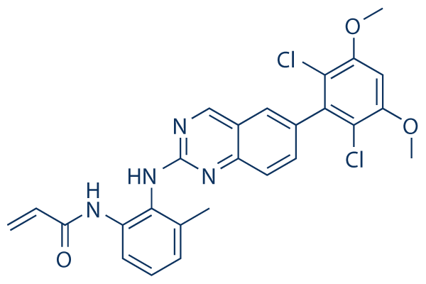 BLU-9931 Structure