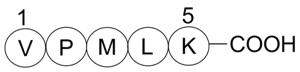 Bax inhibitor peptide V5 Structure