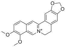 Berberine Structure