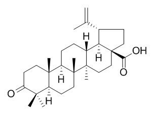 Betulonic acid Structure