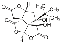 Bilobalide Structure