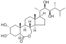 Brassinolide Structure