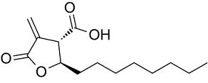 C75 trans Structure