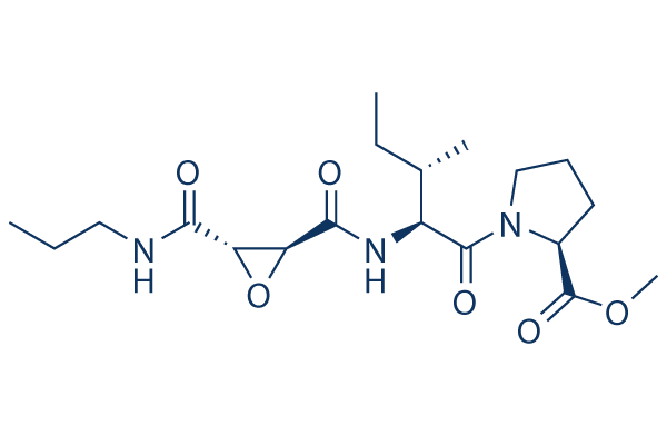 CA-074 Me Structure