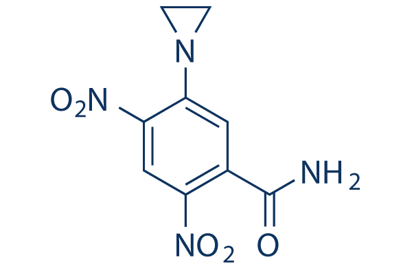 CB1954 Structure