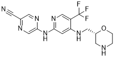 CCT245737 Structure