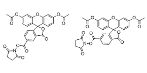 CFDA-SE Structure